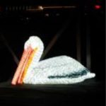 SKY-021-24V（鹈鹕）