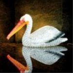 SKY-022-24V（鹈鹕）