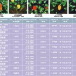 SKFT-1782-230V-A(苹果树灯）