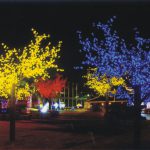 SKCB-2304-230V(树灯）